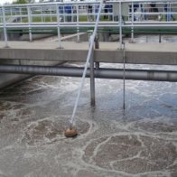 Regional Gallery - Regional Meeting - Aug 2008, Berlin